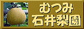 むつみ石井梨園サイトへ