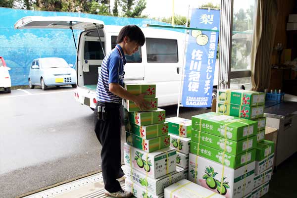 二十世紀梨の宅配なら味果園にご注文ください