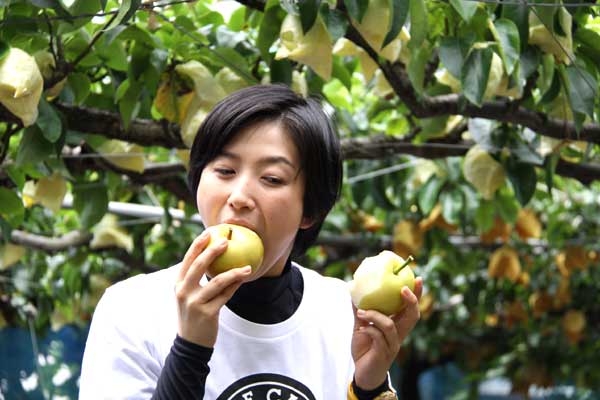 新水梨と八雲梨の食べ比べです