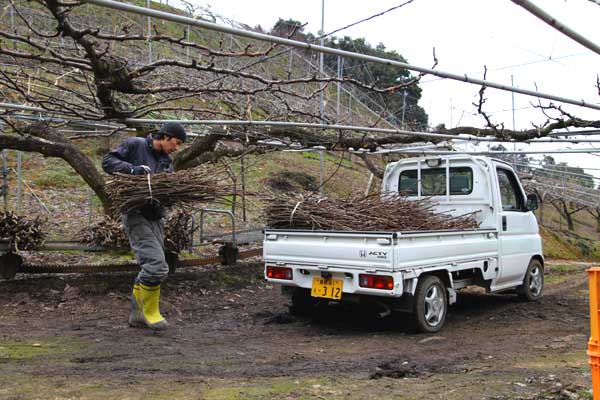 軽トラック