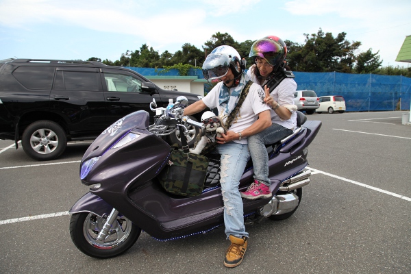 バイクで梨狩りに来てくれたかわいいワンちゃん 鳥取東部地区最大の梨狩り園 味果園 みかえん