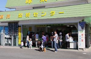 梨狩りでにぎわう店舗風景