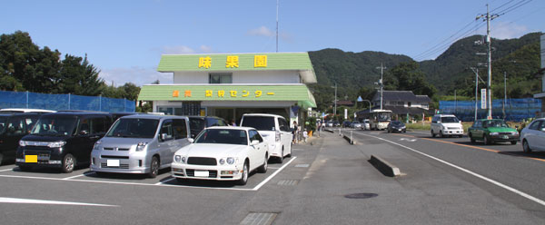 梨狩り街道は大渋滞