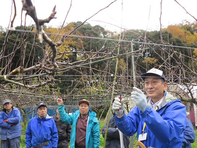 新甘泉剪定講習会