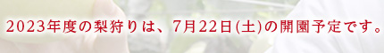 2023年度の梨狩りは、7月22日（土）の開園予定です。