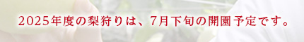 2025の梨狩りは、7月下旬の開園予定です。