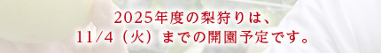 2025年度の梨狩りは、11月4日（火）までの開園予定です。