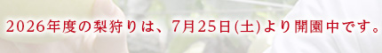 2026年度の梨狩りは、7月25日（土）より開園中です。